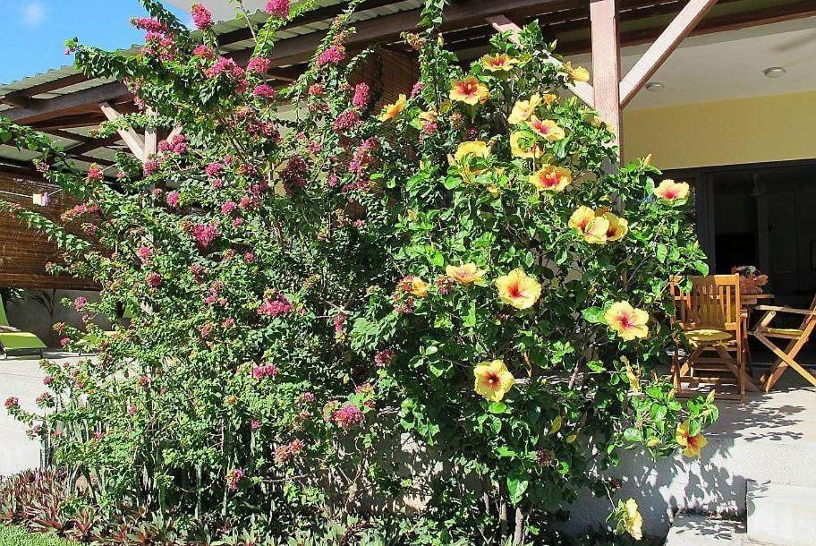 Villa Des Frangipanes La Gaulette Εξωτερικό φωτογραφία